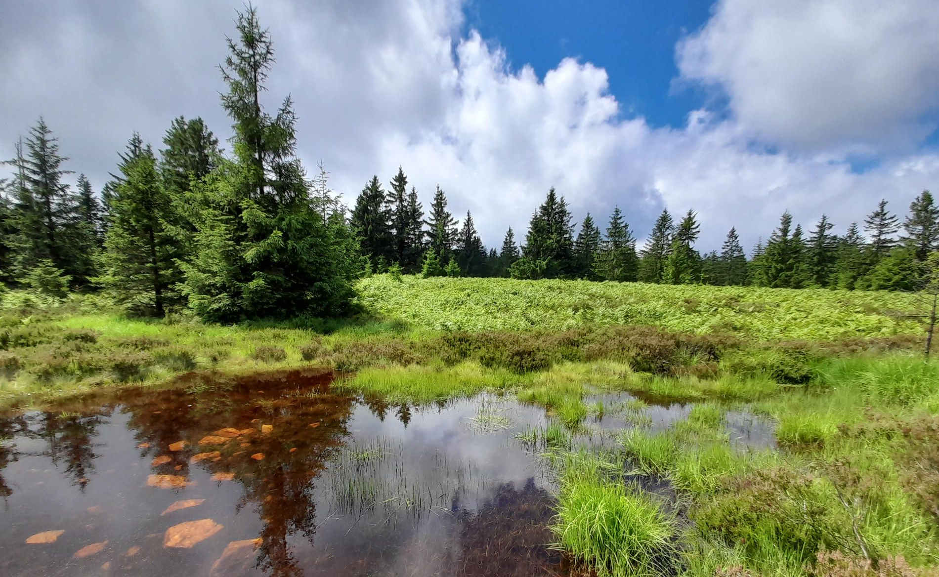 Armáda chce opět začít využívat palposty na Záběhlé a Padrti