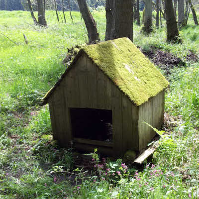 Brdy - studánky