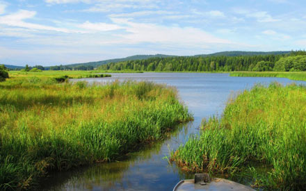 Dolejší padrťský rybník