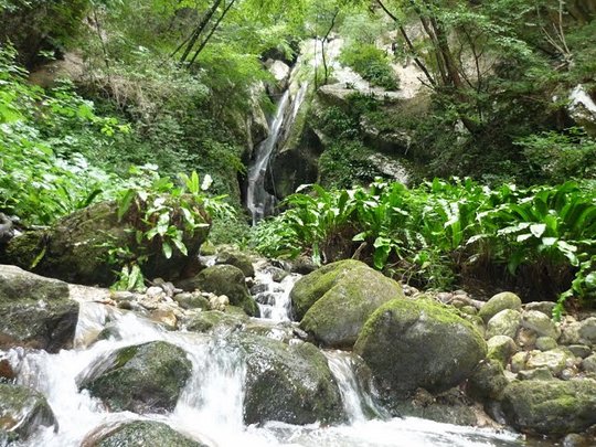 Ferrata Torrente Sallagoni (Itálie)