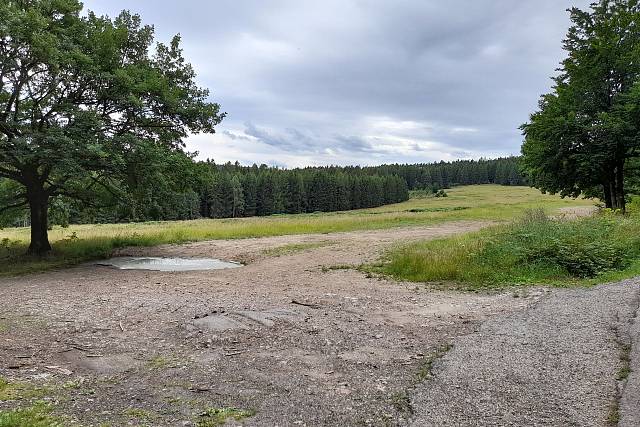 Palebné postavení Sýkorky