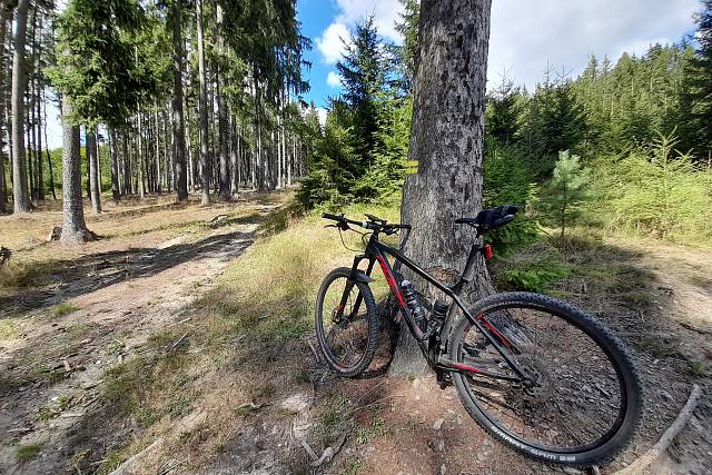 Cyklotrasa 7 (Vltavská): Praha – Prokopák, Zbraslav, Štěchovice a pak konečně do Brd