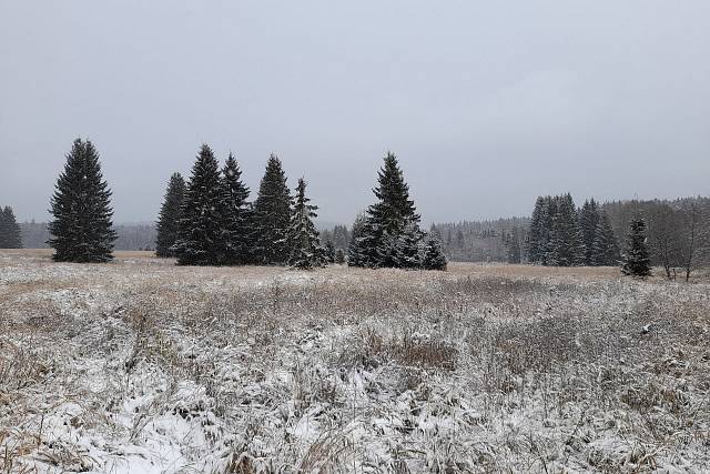 První sníh v Brdech - 18.11.2022