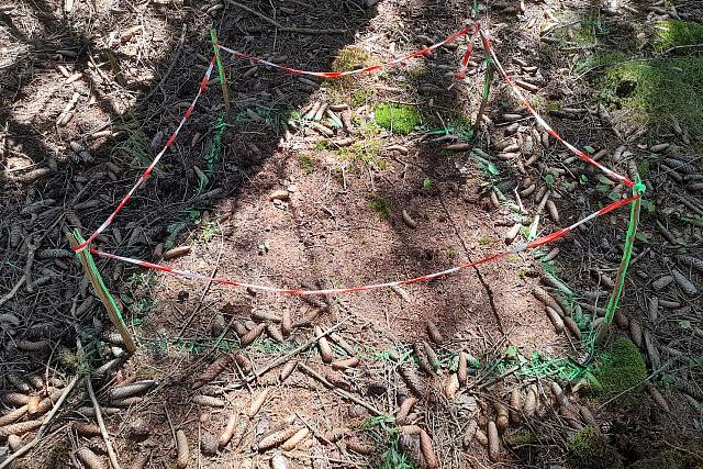 Brdy - Pyrotechnická asanace Nad Ledným potokem