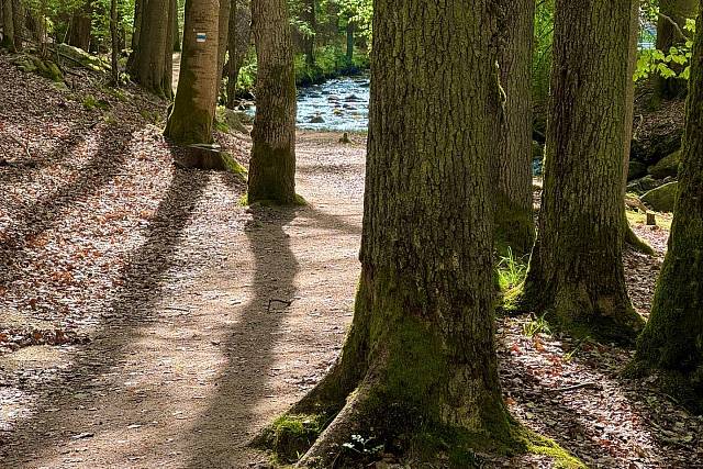 Padrťský potok - směr Dům přírody Brd (Tři Trubky)