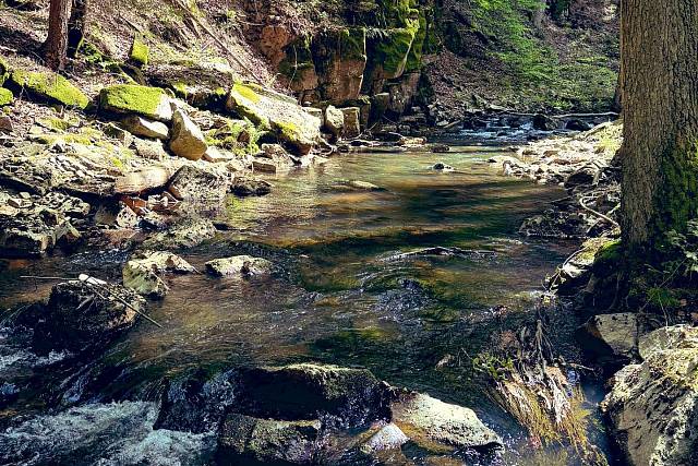 Padrťský potok - směr Dům přírody Brd (Tři Trubky)