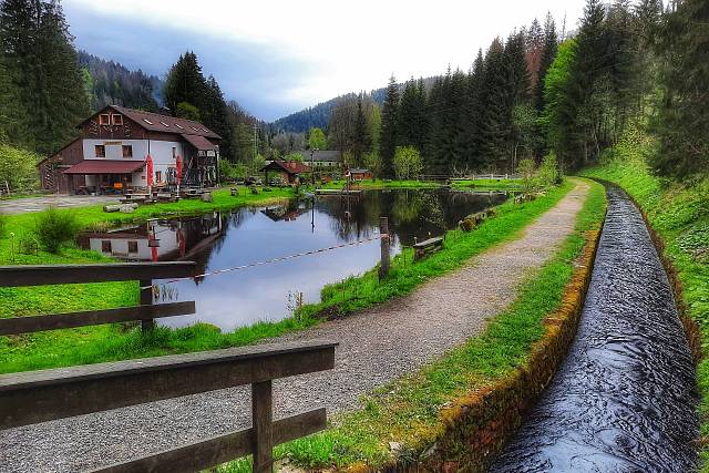 Šumava - Vlčí výběh, hrad Velhartice a Kašperk, Kašperské Hory, Čenkova pila