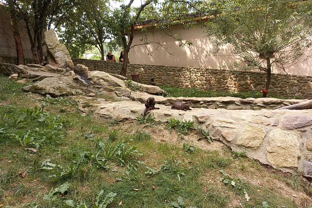 Zoo Na Hrádečku (Jindřichův Hradec)