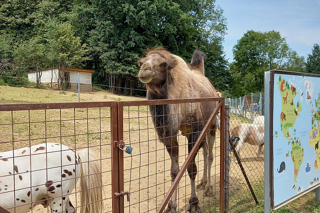 Zoo Na Hrádečku (Jindřichův Hradec)