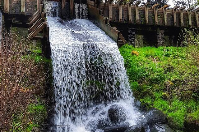 Šumava - Vlčí výběh, hrad Velhartice a Kašperk, Kašperské Hory, Čenkova pila