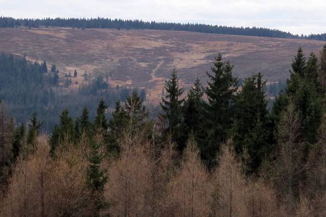 Dopadová plocha Tok