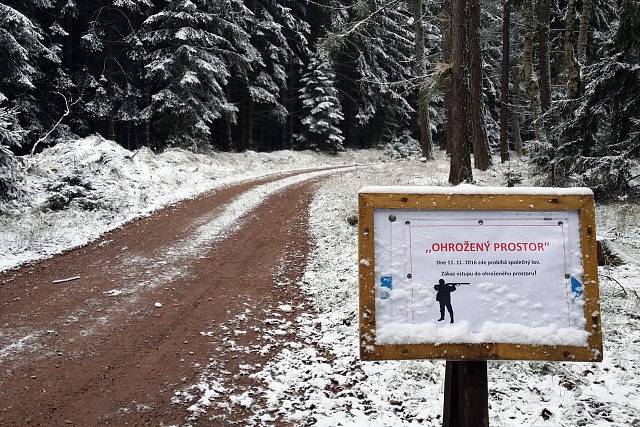 Cesta (Skořice - Záborecká)