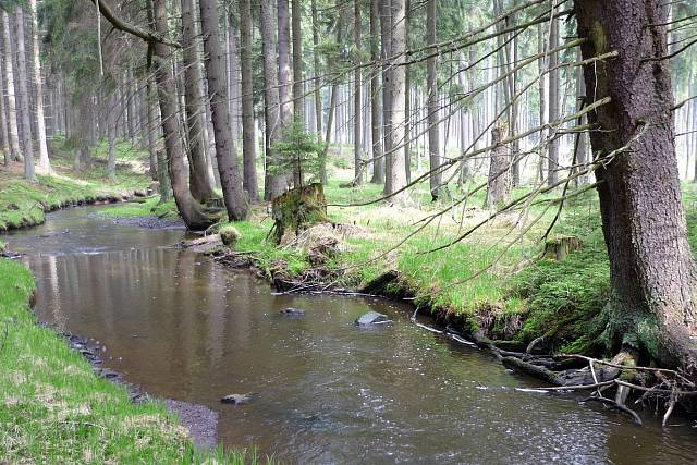 Padrťský potok (Klabava)