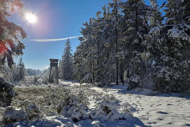 Zasněžený Tok s azurovou oblohou