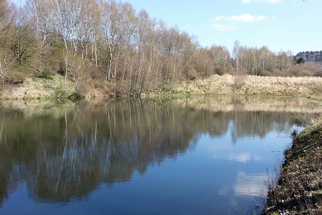 Rybník u PTS Kolvín-jih