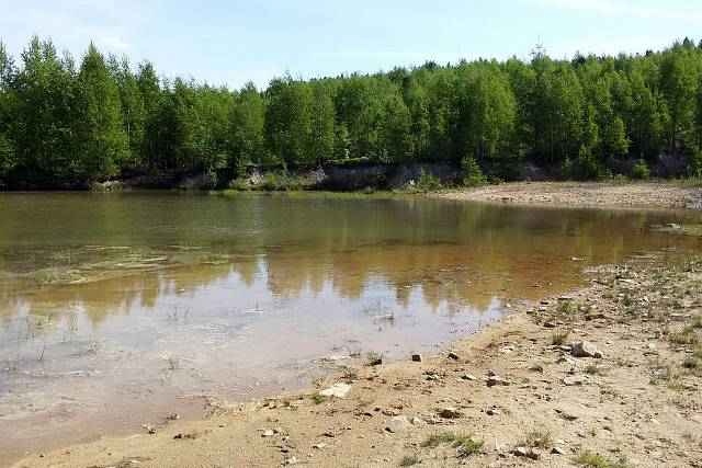 Rybníček na Vlčím potoce