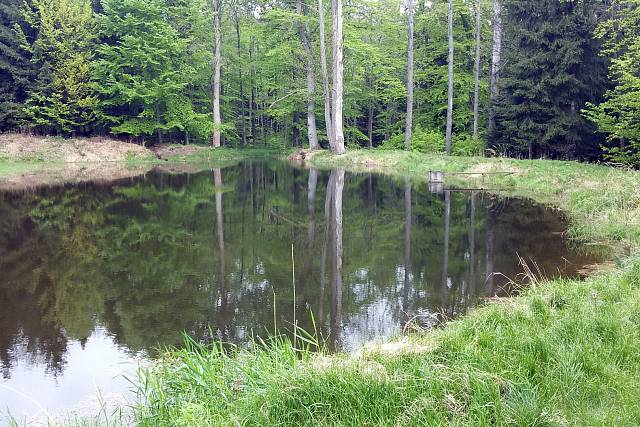 Rybník Pod Teslíny 1