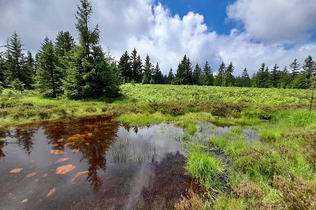 Brdy jsou zase plné vody