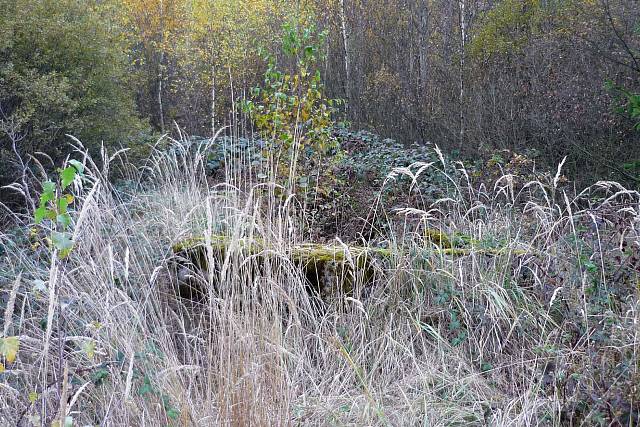 Bahna - Lehké opevnění vzor 36