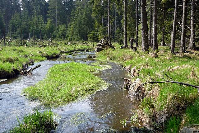 Padrťský potok (Klabava)