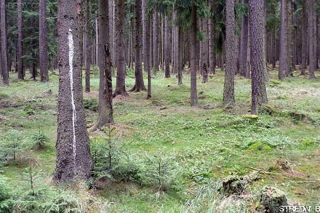 U Bílého křížku