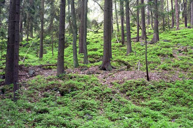 706 Trokavecká skála