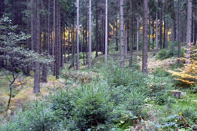 Házeliště granátů - Zadní Bahna