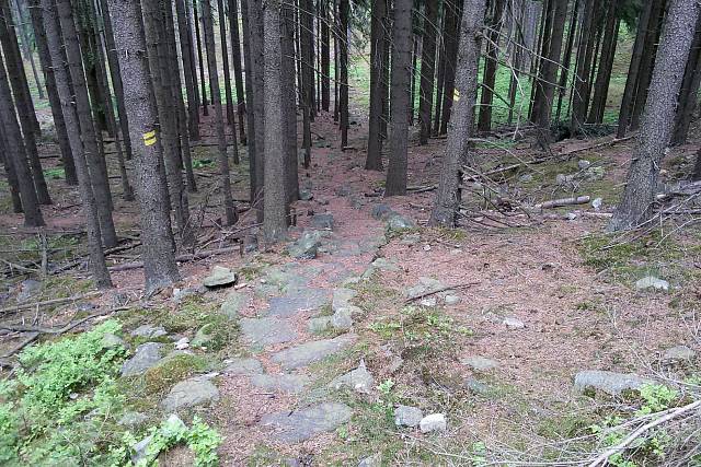 Kamenné schodiště na Tok