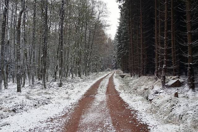 Cesta (Vlásenka - Záborecká)