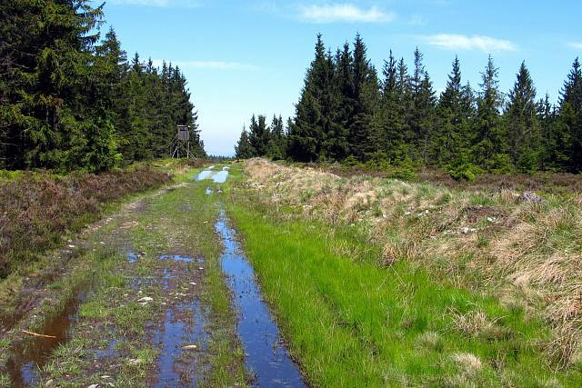 Požární cesta na Toku