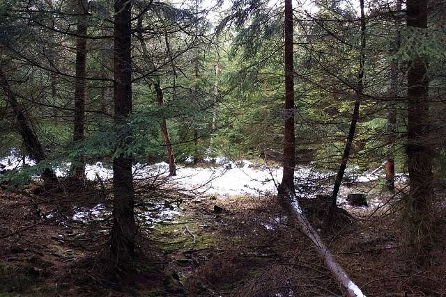 Místo nehody letounu S-199 