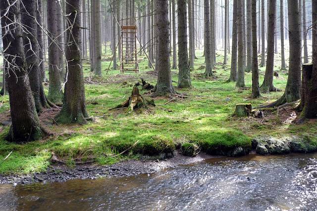 Padrťský potok (Klabava)