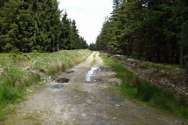 Požární cesta na Toku