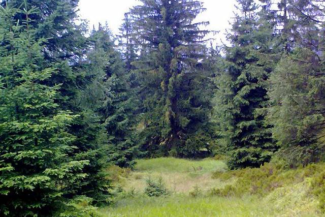 Místo nehody vrtulníku Mi-24