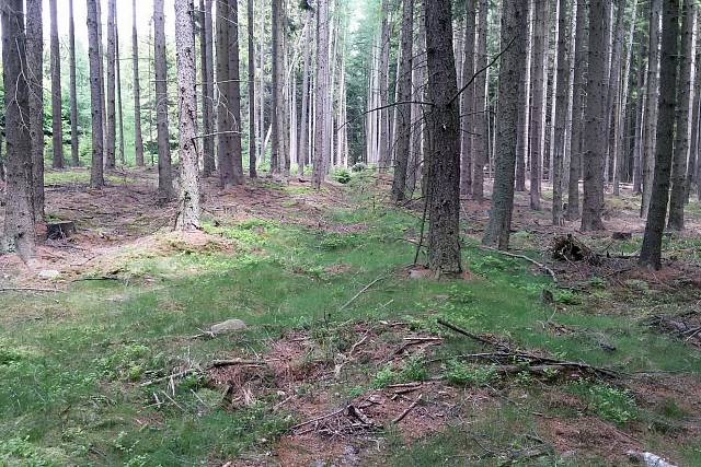 Albrechtický přivaděč