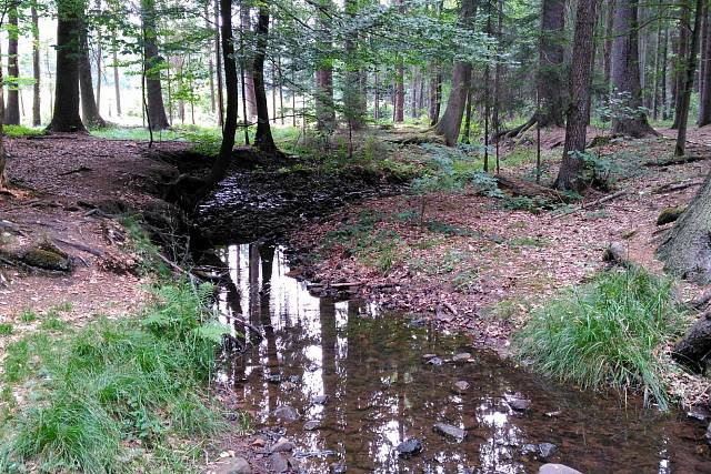 Potok pod vrchem Dubina