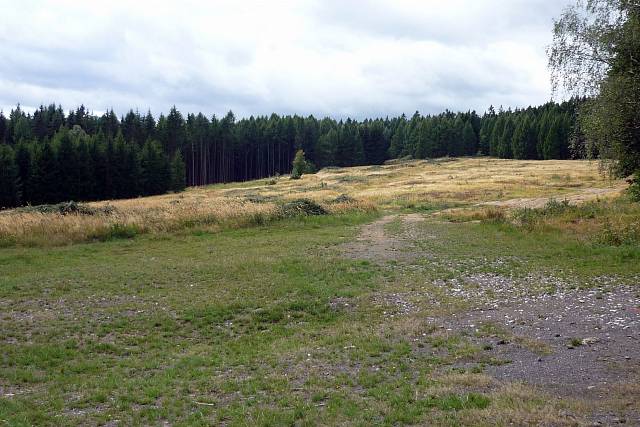 Palebné postavení Sýkorky