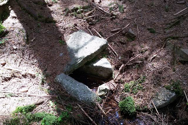 Studánka U Albrechtického potoka