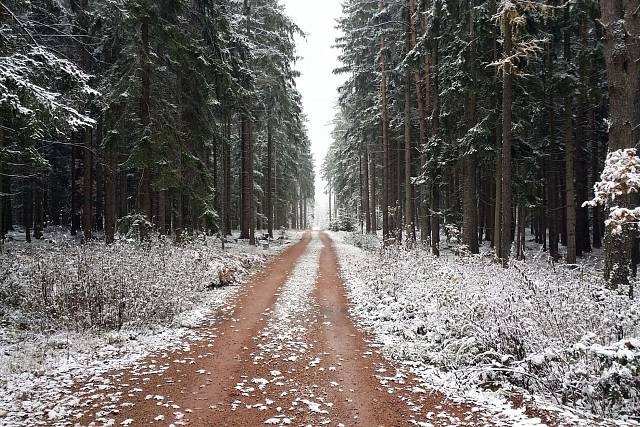 Cesta (Záborecká - Stříbrný kámen)
