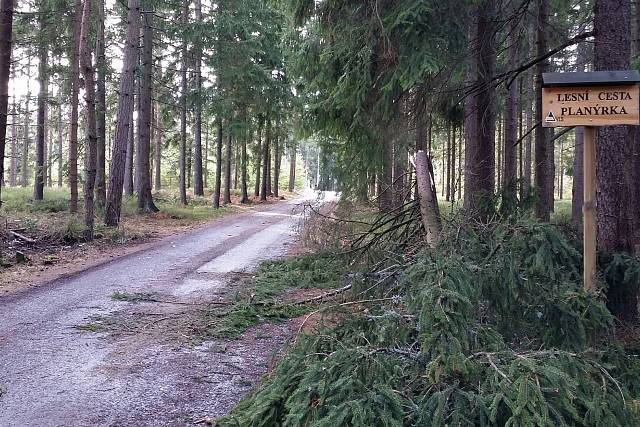 Cesta Planýrka
