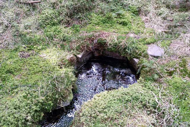 Studánka Nad Třítrubeckým potokem