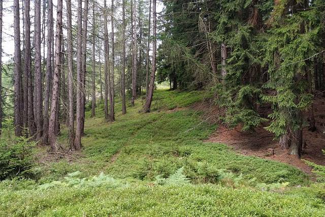 Dráha pod Bílou skálou