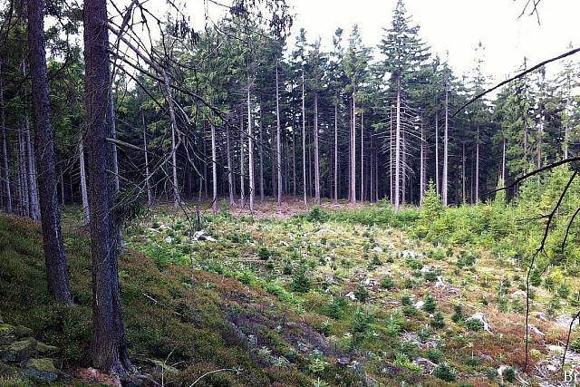 Rozbor nehody MiG-21 dne 22. září 1981 v Brdech