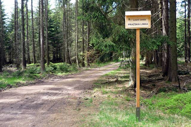 Cesta Pražská linka