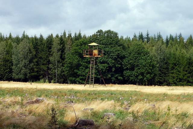 Louka pod Špičákem