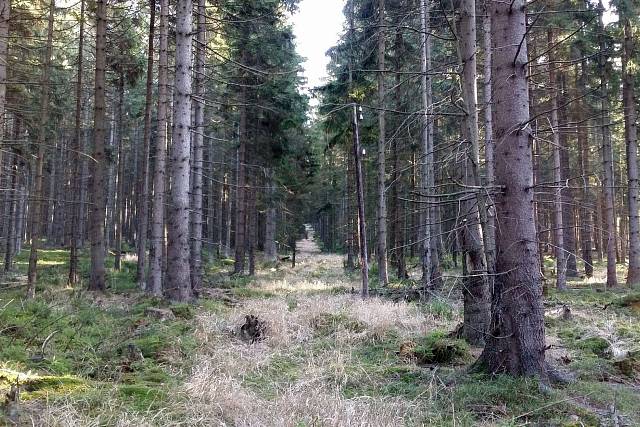 Studna u Kuníkové 2