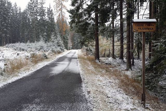Cesta Vlásenka
