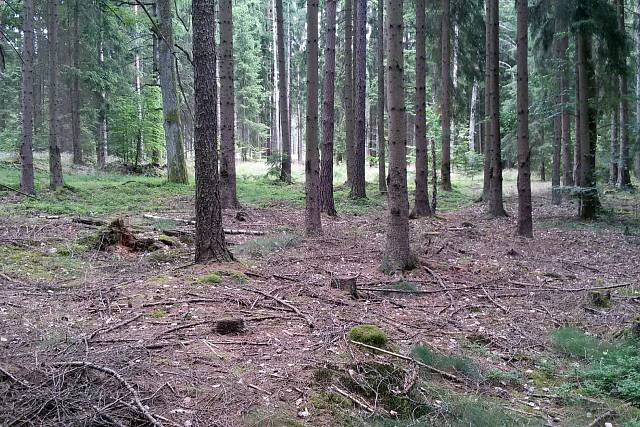 Šachty skořického příkopu 4