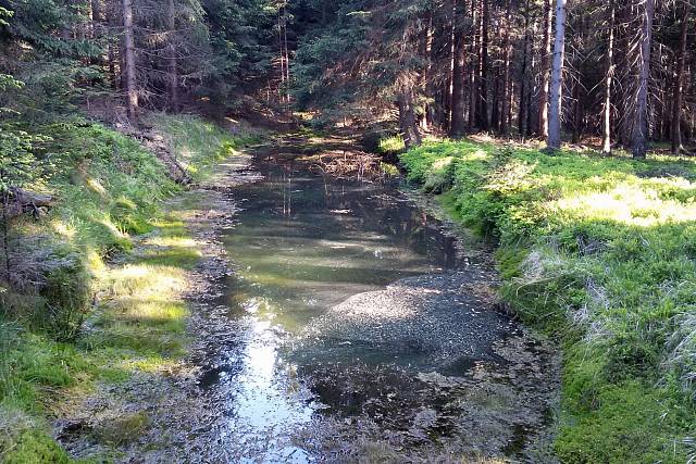 Carvánka - lovecká chata