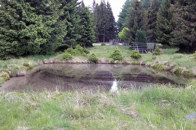 Nádržka u Carvánky